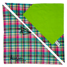 Load image into Gallery viewer, PLAIDapus